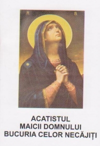Acatistul Maicii Domnului - Bucuria celor necajiti