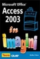 ACCES 2003 imagini