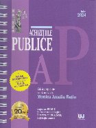 Achiziţiile publice : ed. îngrijită de conf. univ. dr. Monica Amalia Raţiu
