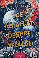 Ce-am aflat despre meduze