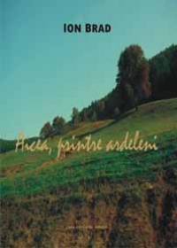 Aicea, printre ardeleni