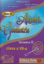 Algebra Geometrie Clasa VII Semestrul