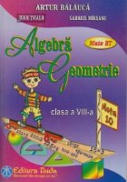 Algebra Geometrie Clasa VIII (editie