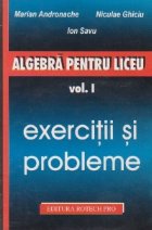 Algebra pentru liceu, Volumul I, Exercitii si probleme