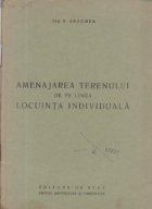 Amenajarea terenului linga locuinta individuala