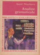 Analize gramaticale