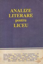 Analize literare pentru liceu