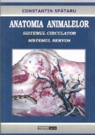 Anatomia animalelor Sistemul circulator Sistemul