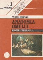 Anatomia omului Peretii trunchiului