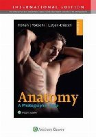 Anatomy