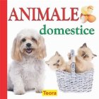 ANIMALE DOMESTICE