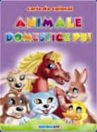 Animale domestice pui - carte de colorat (format B5)