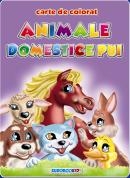 Animale domestice pui - carte de colorat (format B5)