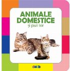 Animale domestice si puii lor
