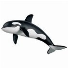 Animale marine (scara 1:32) : Orca