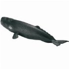 Animale marine (scara 1:32) : Pui de casalot