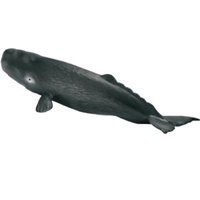 Animale marine (scara 1:32) : Pui de casalot