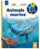 Animale marine