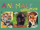 Animale salbatice Cod 1054