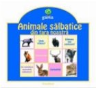 Animale salbatice din tara noastra