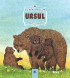 Animale salbatice in natura. Ursul