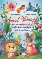 Aricel Voinicel caiet matematica explorarea