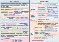 Articolul /Predicatul (duo)