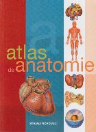 Atlas de Anatomie