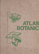 Atlas botanic