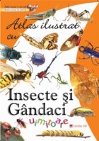 Atlas ilustrat insecte gandaci uimitoare