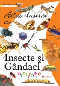 Atlas ilustrat cu insecte si gandaci uimitoare