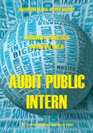 Audit public intern