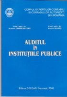 Auditul institutiile publice