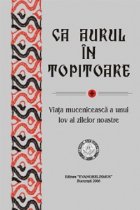 aurul topitoare