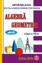 Algebra Geometrie pentru clasa VII