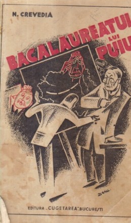 Bacalaureatul lui Puiu