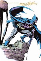 BATMAN ILLUSTRATED NEAL ADAMS VOL