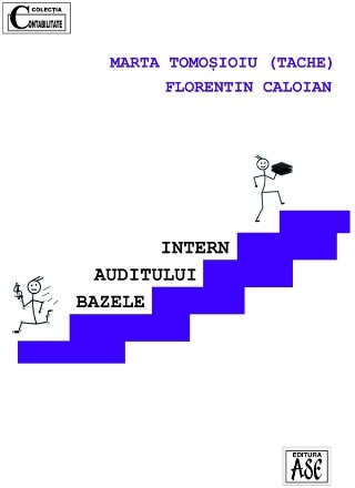 Bazele auditului intern