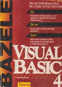 Bazele Visual Basic 4