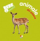 Bebe învață: Animale din pădure