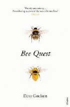 Bee Quest