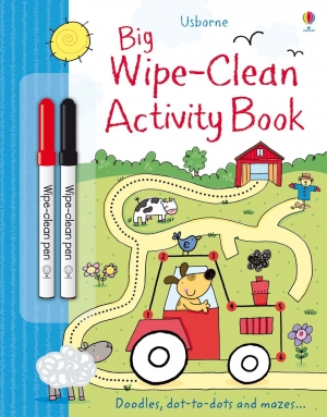 Big wipe-clean activity book