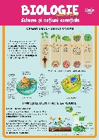 Biologie clasa scheme şi noţiuni