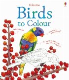 Birds colour