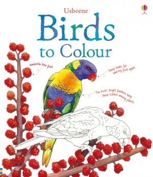 Birds to colour