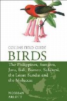 Birds the Philippines