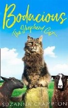 Bodacious: The Shepherd Cat