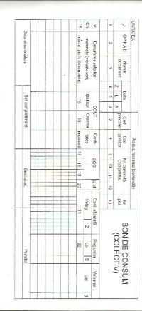Bon de consum (Colectiv) mic