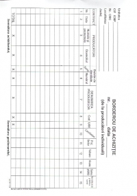 Borderou de achizitie A4