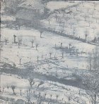 Bran, Album (Editie 1977)